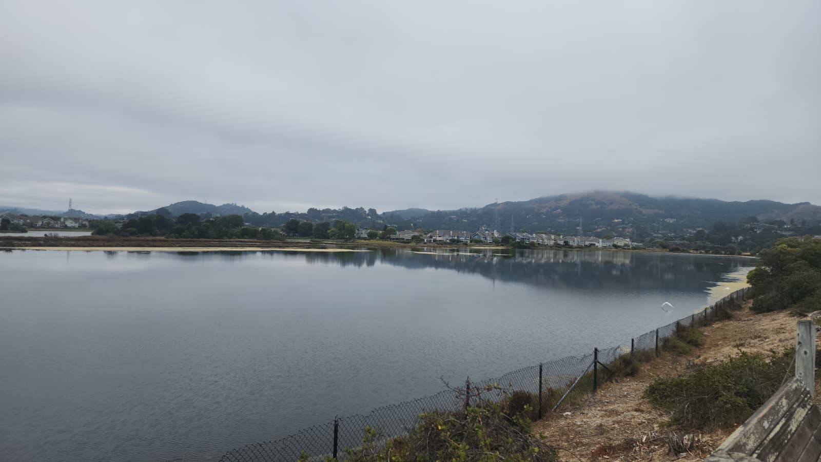 Yasicov L.A. Image # 4